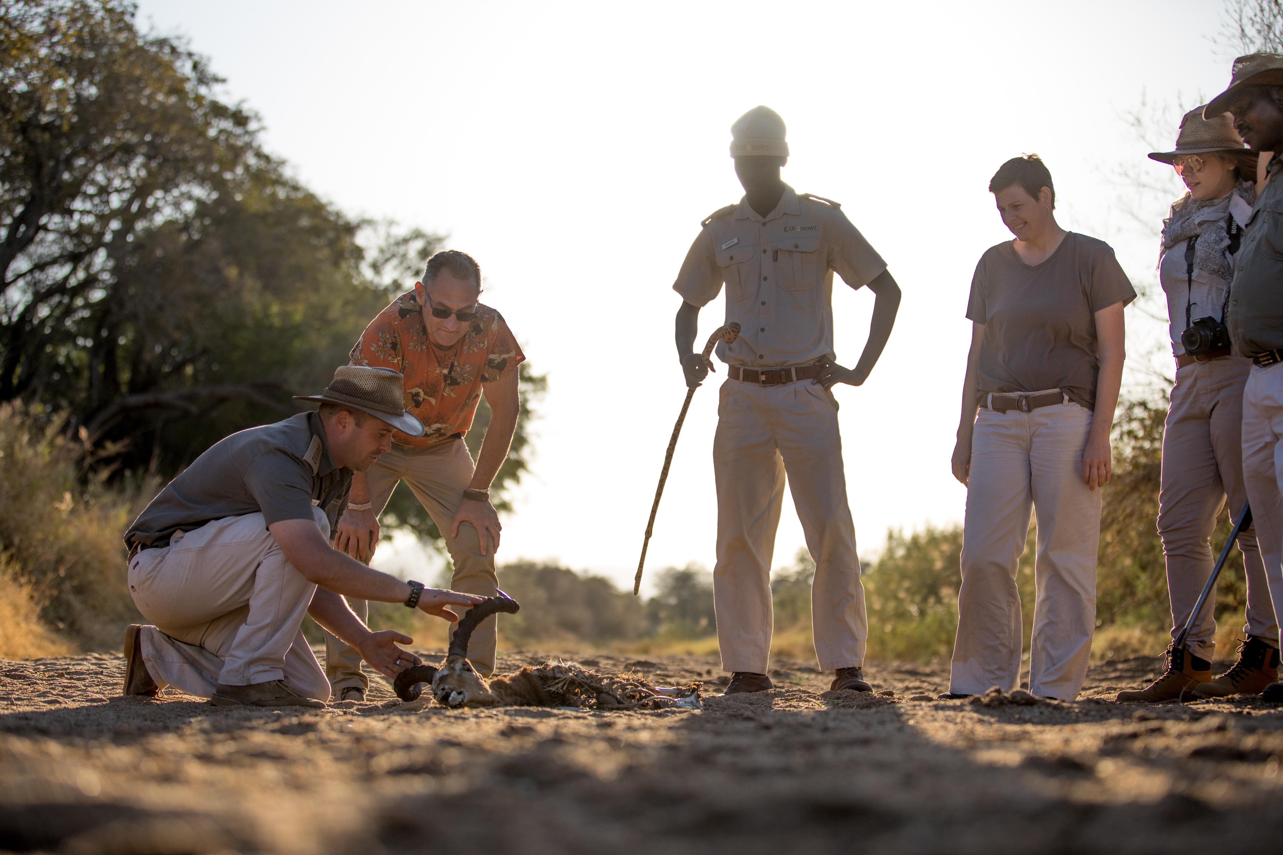 Karongwe Portfolio- Shiduli Private Game Lodge Karongwe Game Reserve Exterior foto