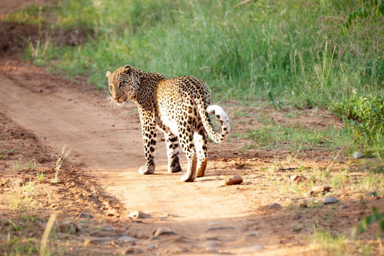 Karongwe Portfolio- Shiduli Private Game Lodge Karongwe Game Reserve Exterior foto