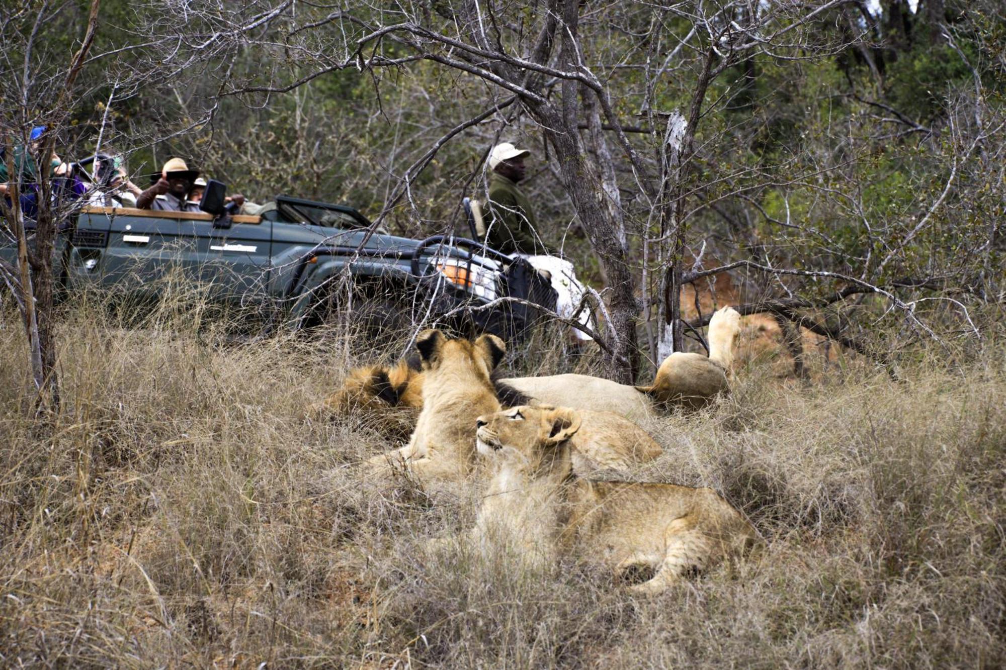 Karongwe Portfolio- Shiduli Private Game Lodge Karongwe Game Reserve Exterior foto