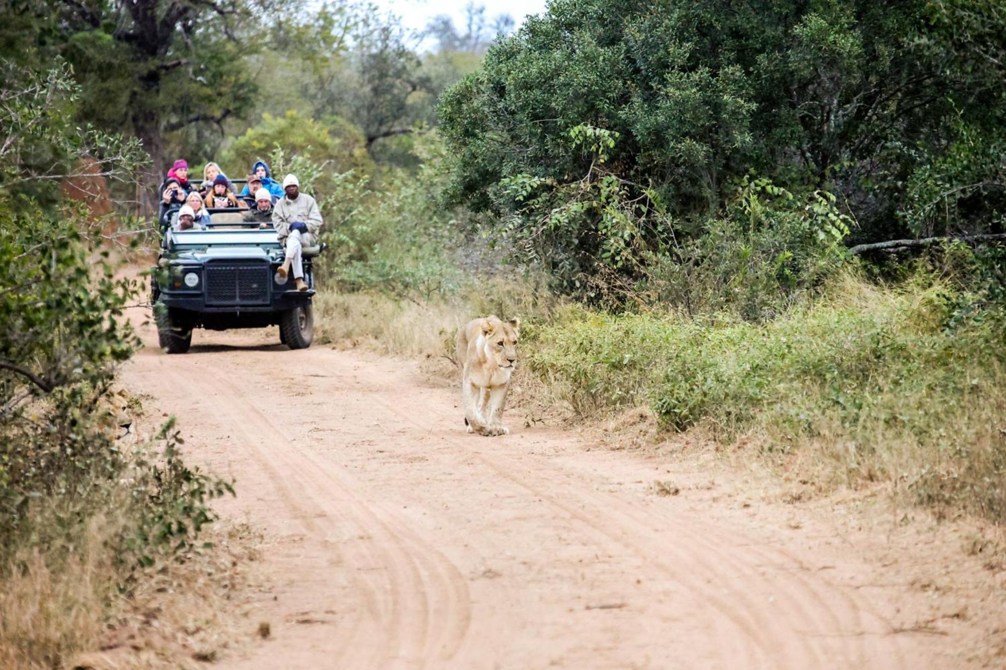 Karongwe Portfolio- Shiduli Private Game Lodge Karongwe Game Reserve Exterior foto